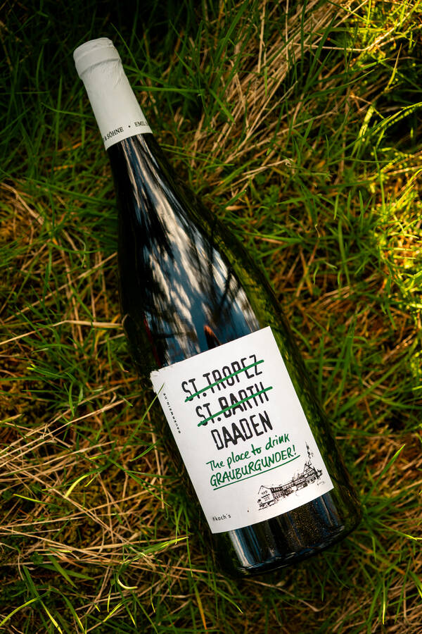 Koch´s Grauburgunder "Daaden"